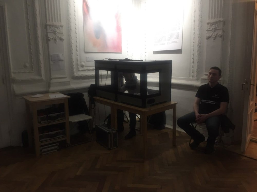 Городская мобильность