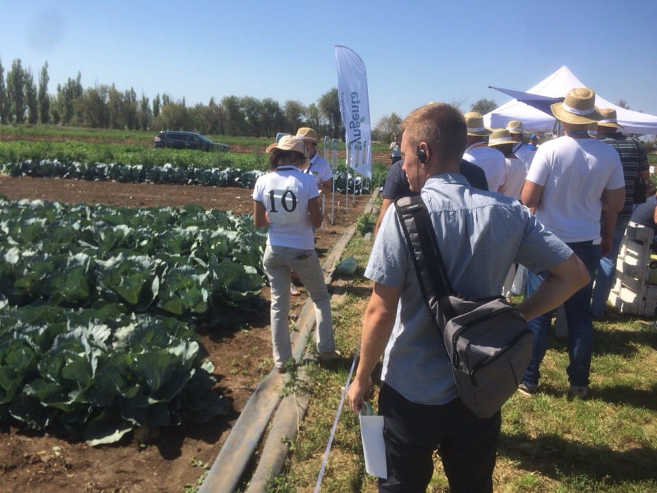 Овощная усадьба — 2018