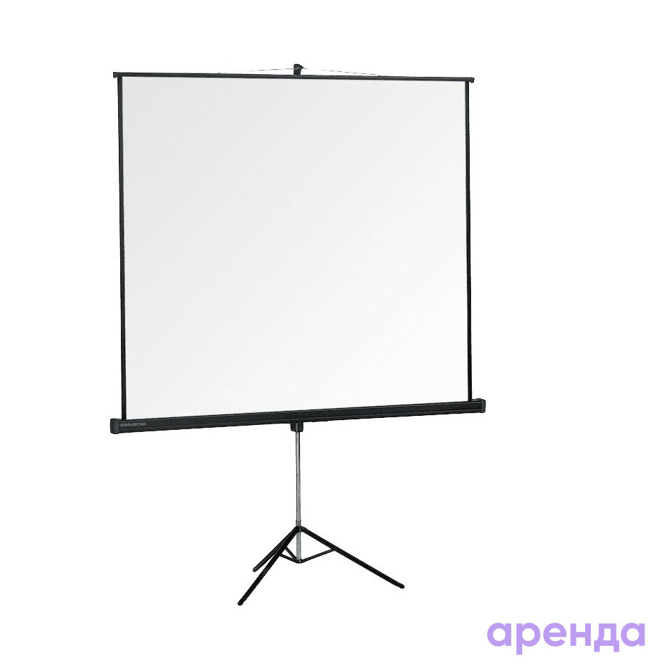 Экран 2,4 х 1,8 м