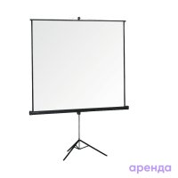 Экран 2,4 х 1,8 м