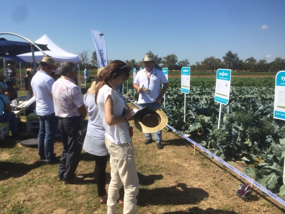 Овощная усадьба — 2018