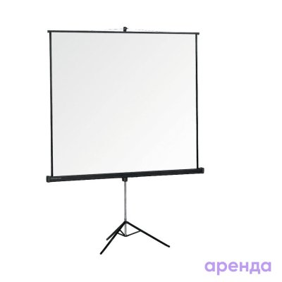 Экран 2,4 х 1,8 м