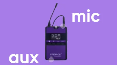 Два входа: для микрофона и музыки