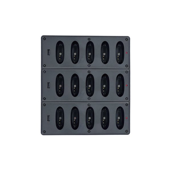 Зарядное устройство для радиогидов Reinvox DUO C-215
