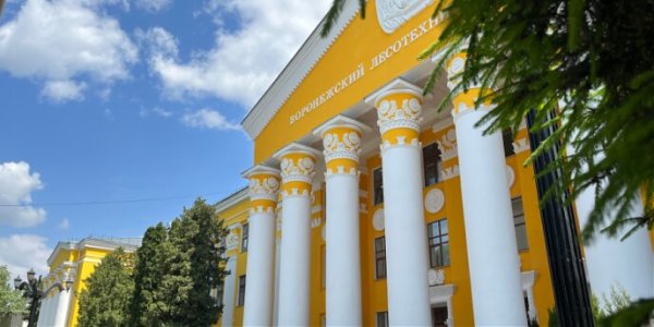 воронежских лесотехнический
