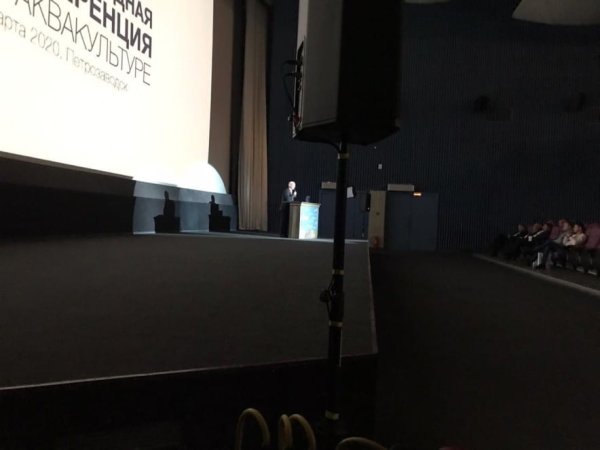 Микрофон SENNHEISER в кинотеатре Калевала