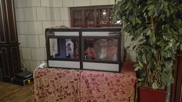 Деловой ужин в Рэдиссоне