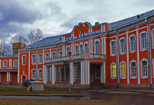 Интенсивный курс «Безопасность пациентов и персонализированная терапия»