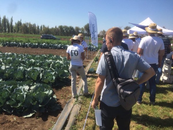 Овощная усадьба — 2018