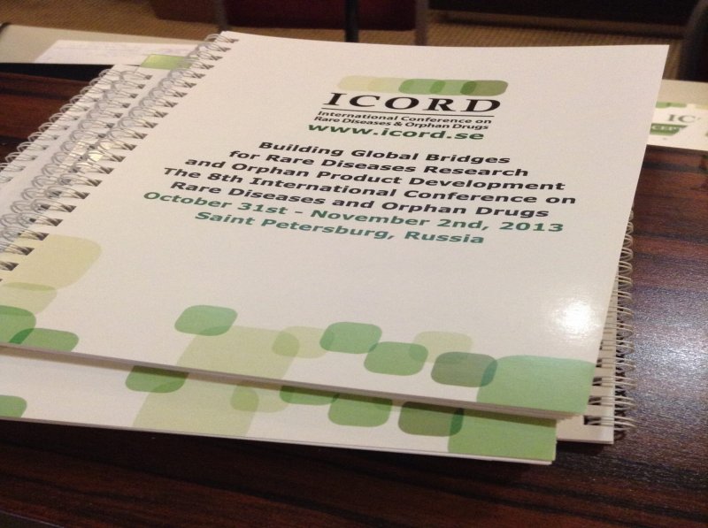 8-ая Международная конференция ICORD 2013